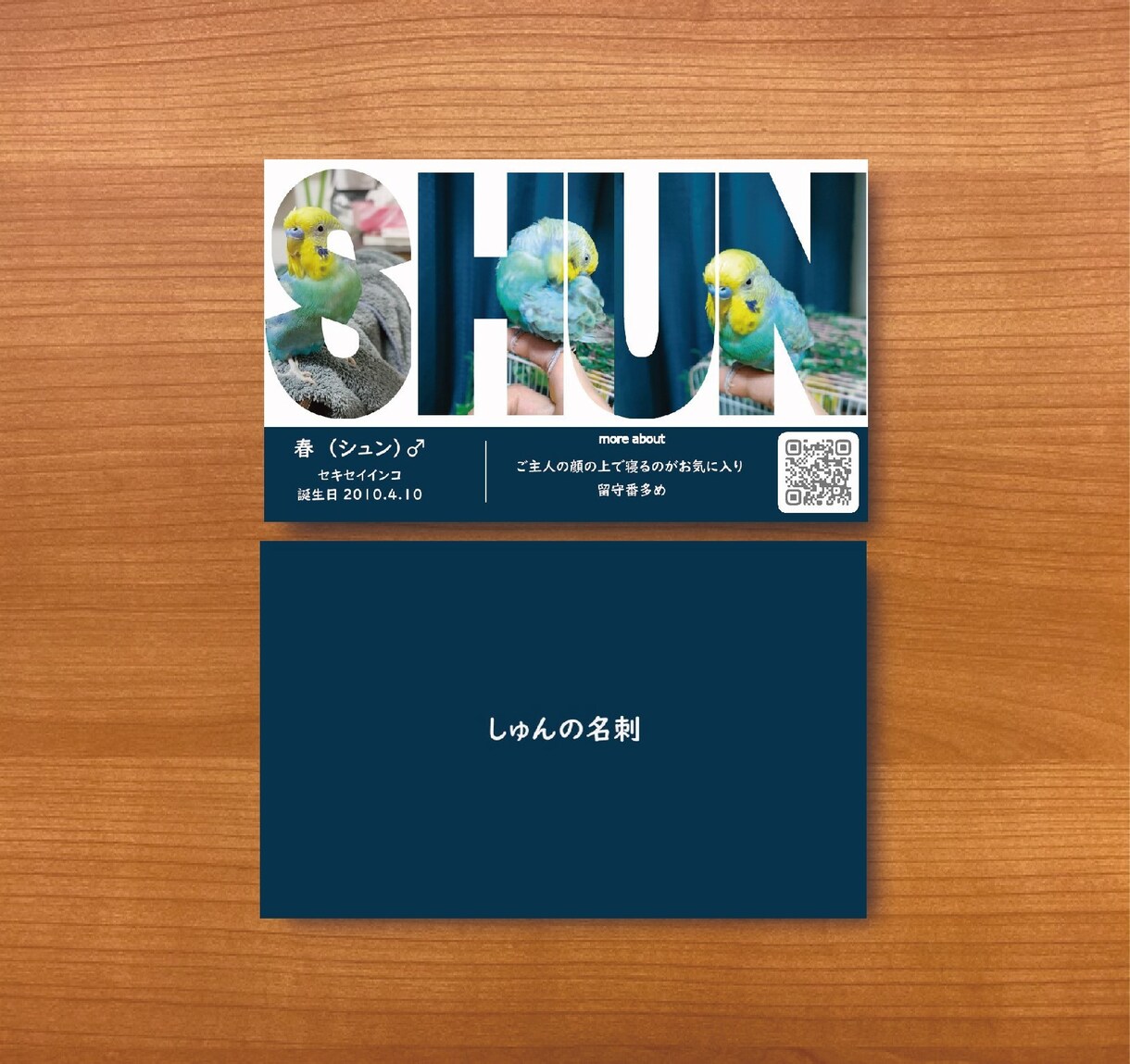 うちの子・ペット名刺作成します お名前文字抜き写真/いろんな表情みてもらえます イメージ3