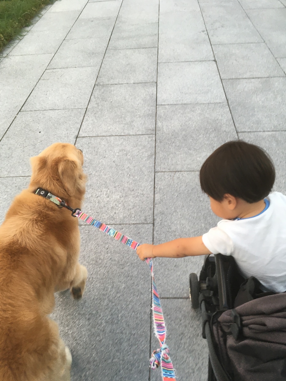 現役小学校教員が相談をお聞きしてます 私があなたに寄り添います。お気軽にお声掛けください。 イメージ1