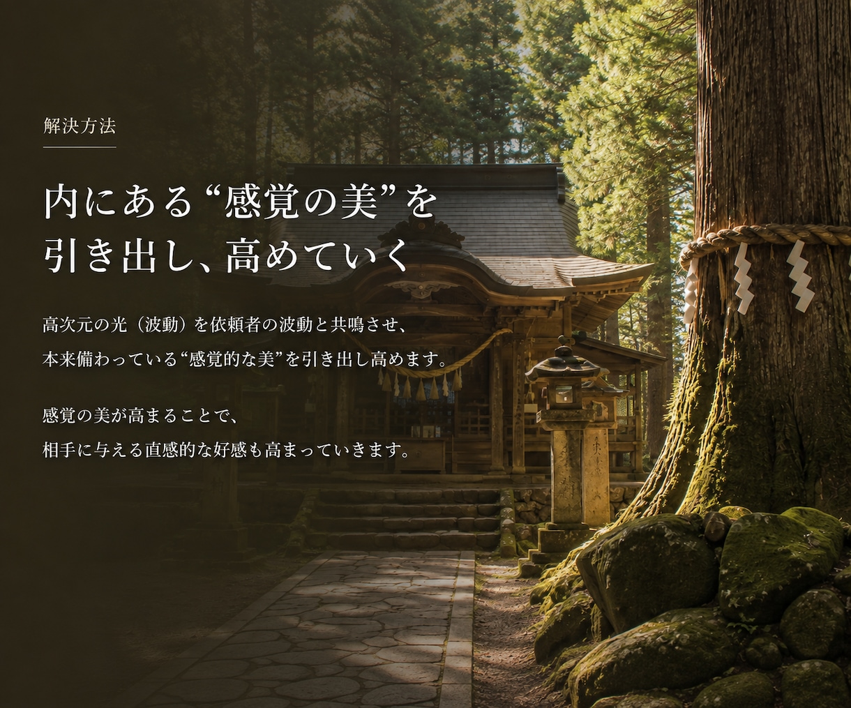 本質の”美”を引き出し「モテる」あなたにします 好きな人/友人/取引先の本能的な好感に繋がる「特別な美」。 イメージ4