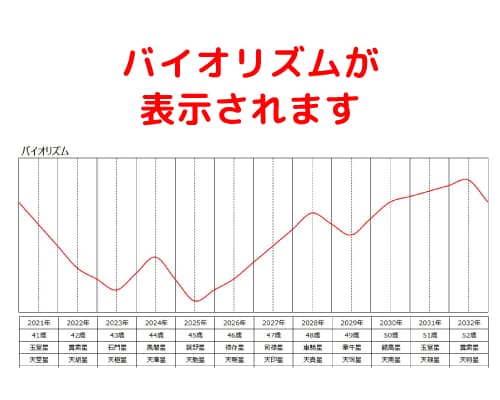 算命学ソフトを使って命式を簡単に出します 生年月日を入力するだけで、誰でも鑑定することができます！ イメージ6