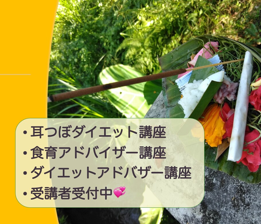 食育健康アドバイザー講座!副業に本業に活かせます マンツーマンが嬉しいと好評 の講座 2026年更新!! イメージ4