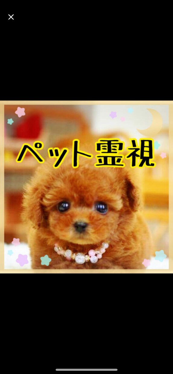 愛するペットの声を届けます 言葉をもたないペットの想い伝えます イメージ1