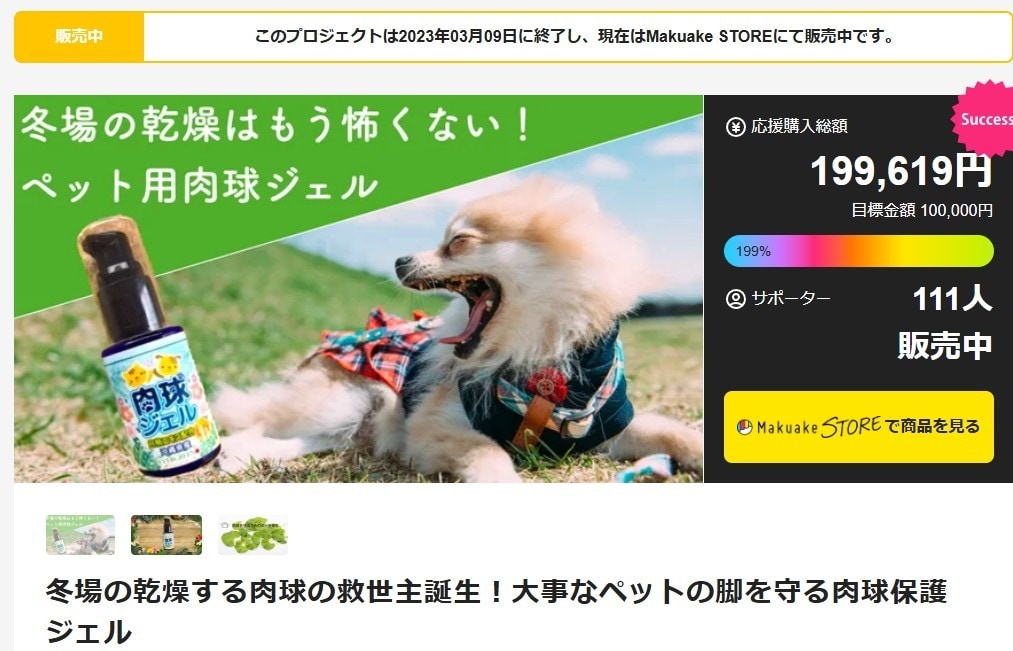 クラウドファンディング制作丸ごとお手伝います Plan SをCampfire公式パートナー取得記念価格で！ イメージ7
