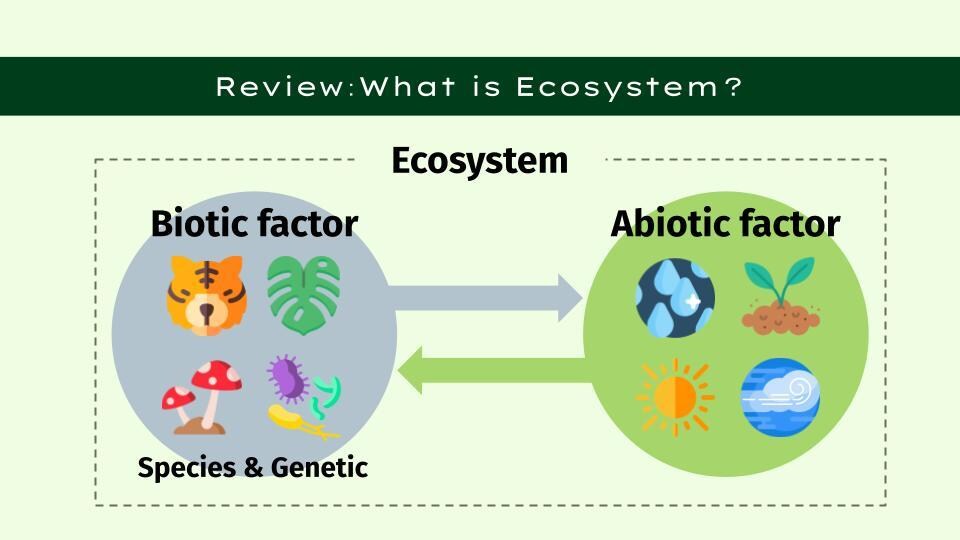 生物学の基礎を分かりやすく教えます 生物が好きな子供，受験生,もう一度勉強したい大人の方へ イメージ2
