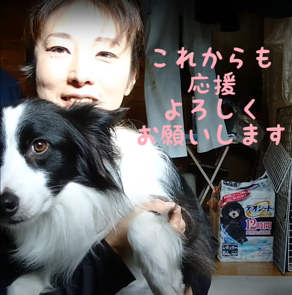 ペットコンサル(お悩みでも愚痴も…お聞き致し)ます ペットの行動・個性に合った方法で、豊かなくらしを…。 イメージ8