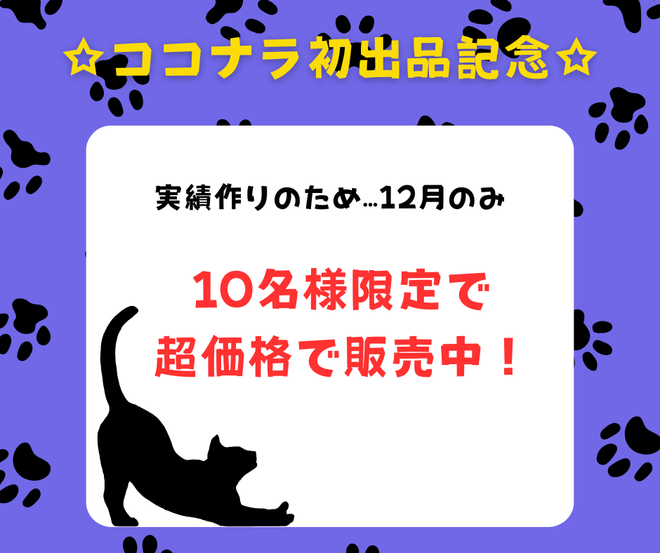 初心者でも始められるココナラ占い攻略教えます 経験、知識、実績ゼロでも「選ばれる占い師」になれる教科書 イメージ2