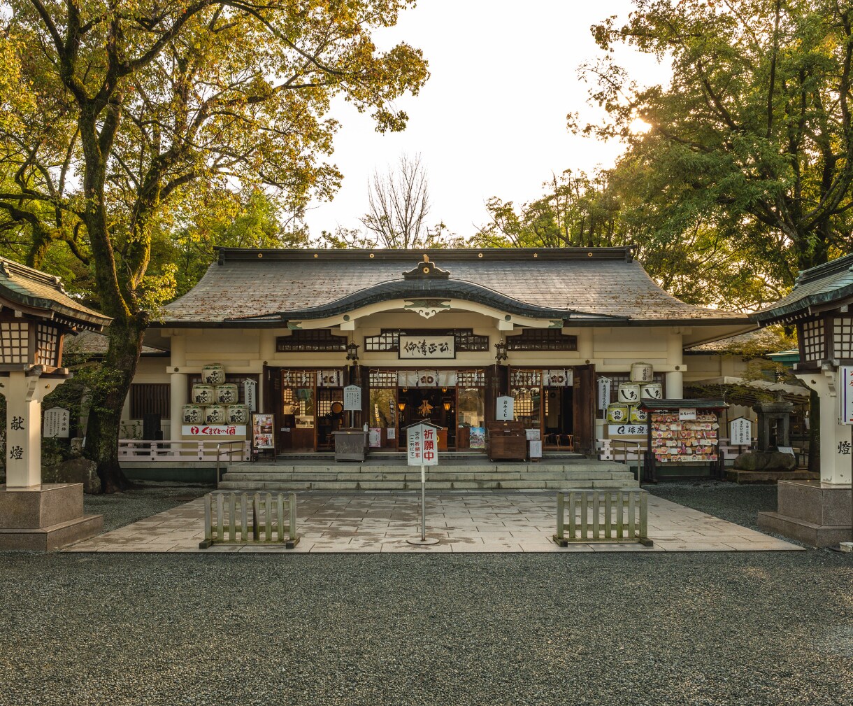 魂が封じた記憶を読み、今世で再会した理由を視ます こんなに愛しているのになぜ統合できないのかお伝えします イメージ6
