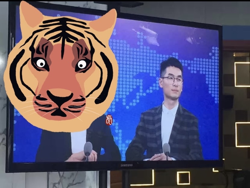 初心者に向けのオンライン中国語会話レッスンします アナウンサーのような発音を習得できるレッスン！ イメージ2
