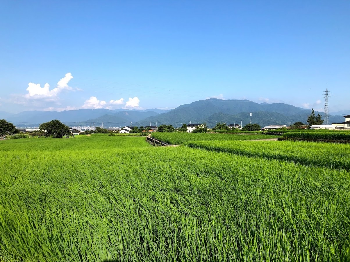 移住のあれこれお答えします 渋谷から山梨へ！住まいも職も変えた移住体験をもとにアドバイス イメージ1