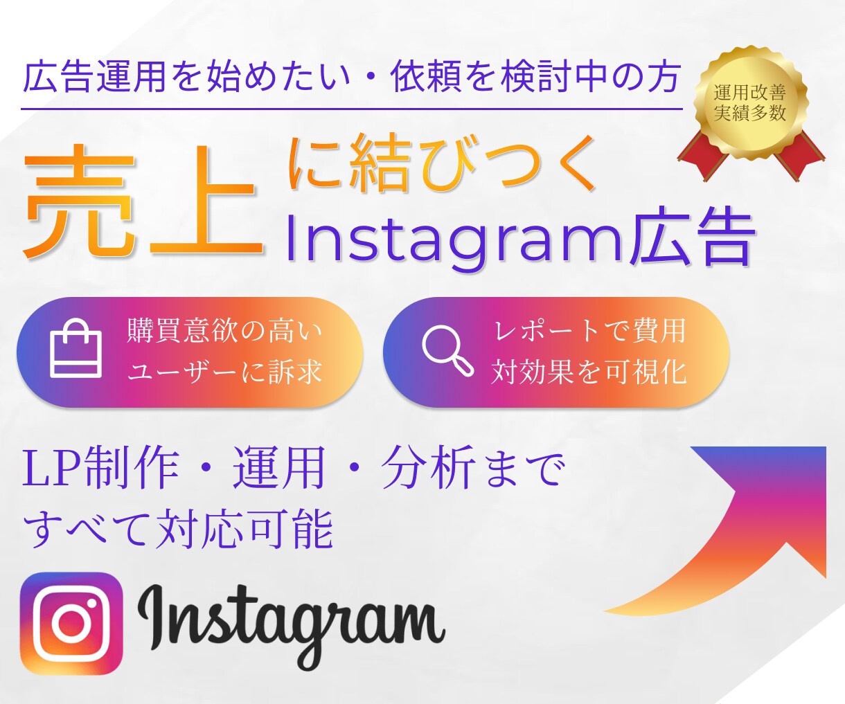 Instagram広告の運用アドバイスします Instagram広告の成果を最大化できる運用を行います イメージ1