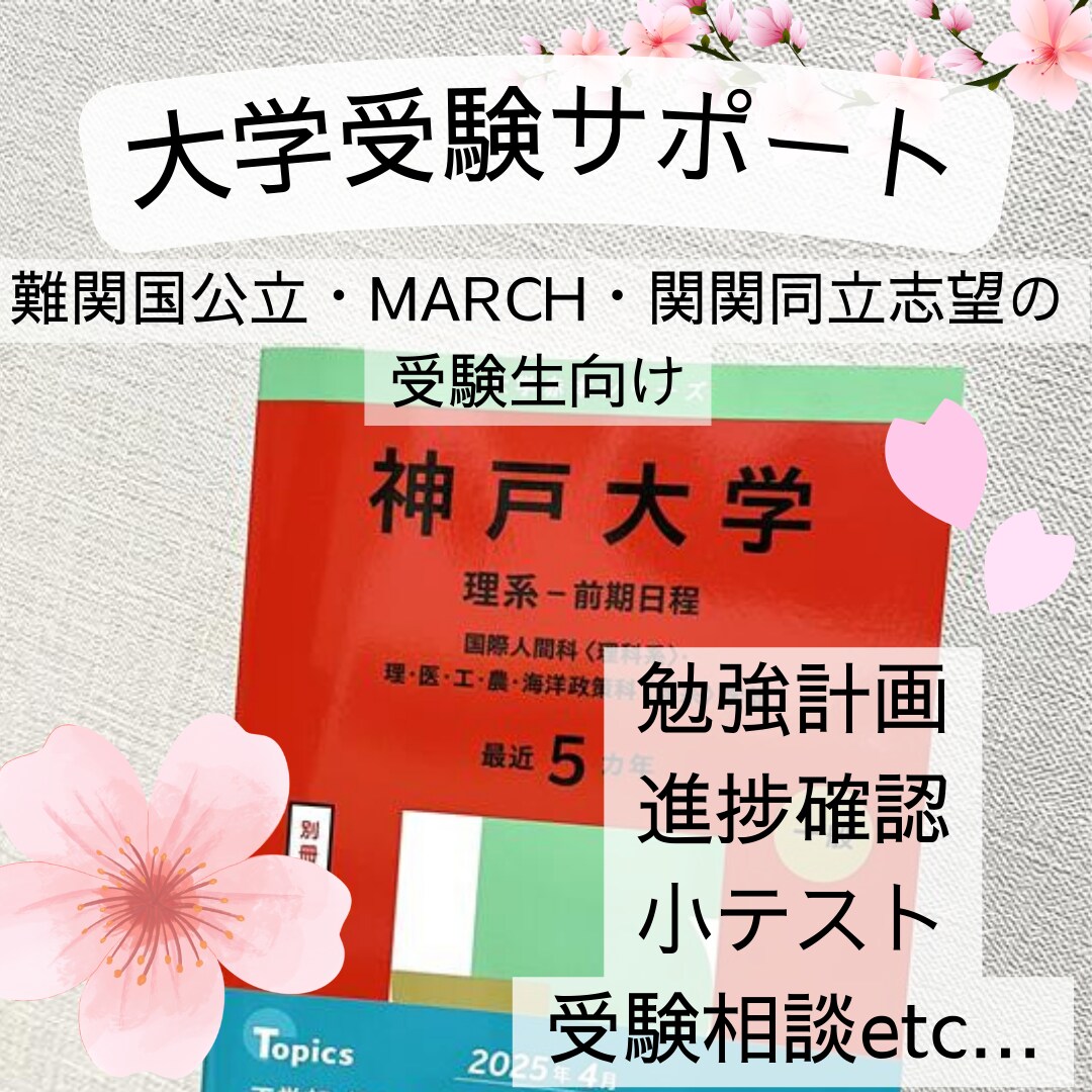 現役阪大生が難関大志望高校生の受験サポートをします 勉強計画や進捗状況確認、小テストなどあなたに合ったサポートを イメージ1
