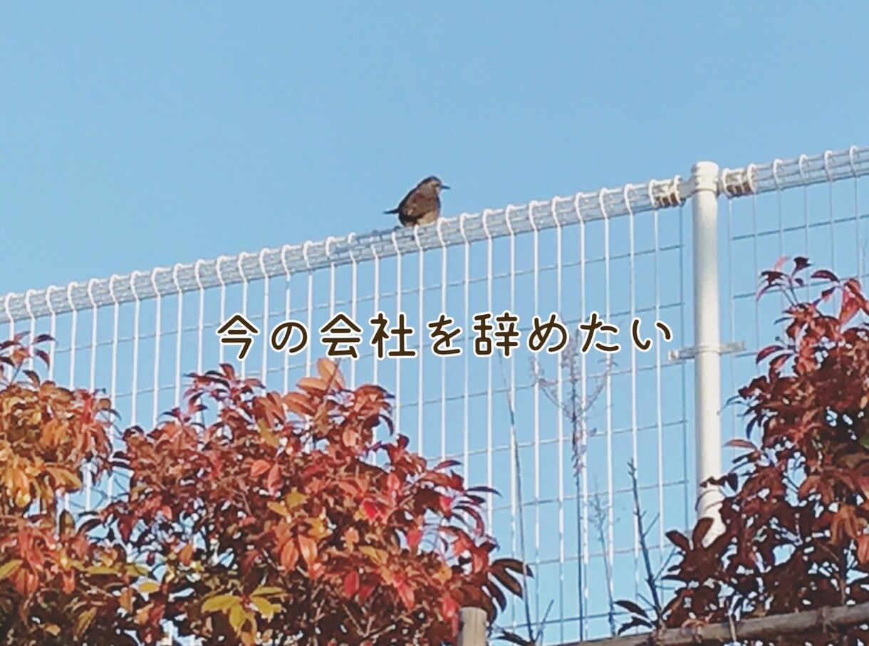 仕事を辞めたい、転職どうしよう？等の相談に乗ります ◆会社に行きたくない職場の人間関係が苦痛など全てお話ください イメージ3