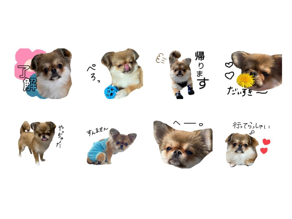 ペットスタンプ！カラフルなLINEスタンプ作ります 写真をアレンジ！手書きデザインの可愛いスタンプ！ イメージ4