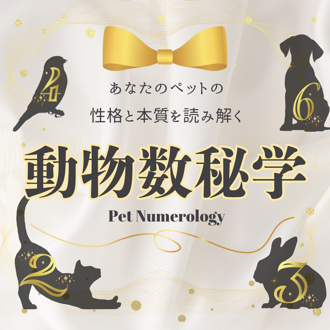 動物数秘学でペットの性格と関わり方を見ます うちの子の「らしさ」を知って、もっと仲良くなれる♡ イメージ1