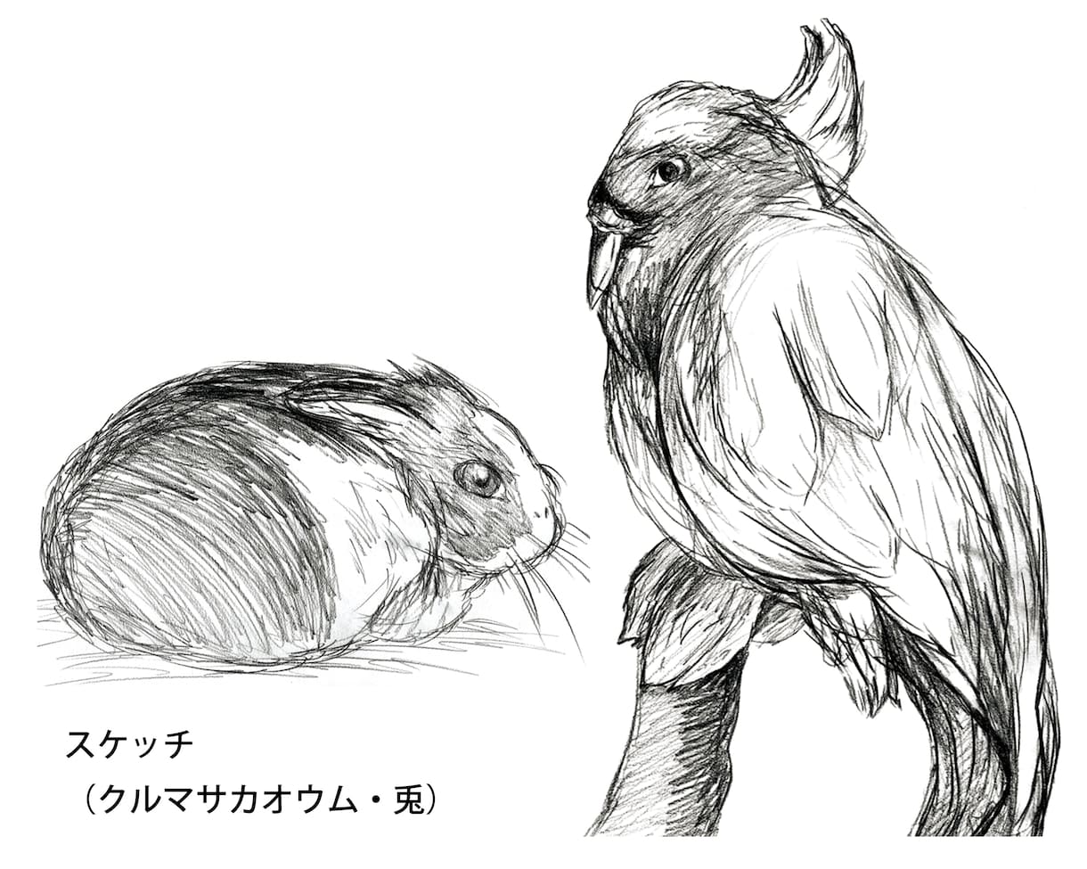 可愛い動物イラスト（ゆるふわ・リアルok）描きます 少しのスペースで "可愛い癒し" を。 イメージ3