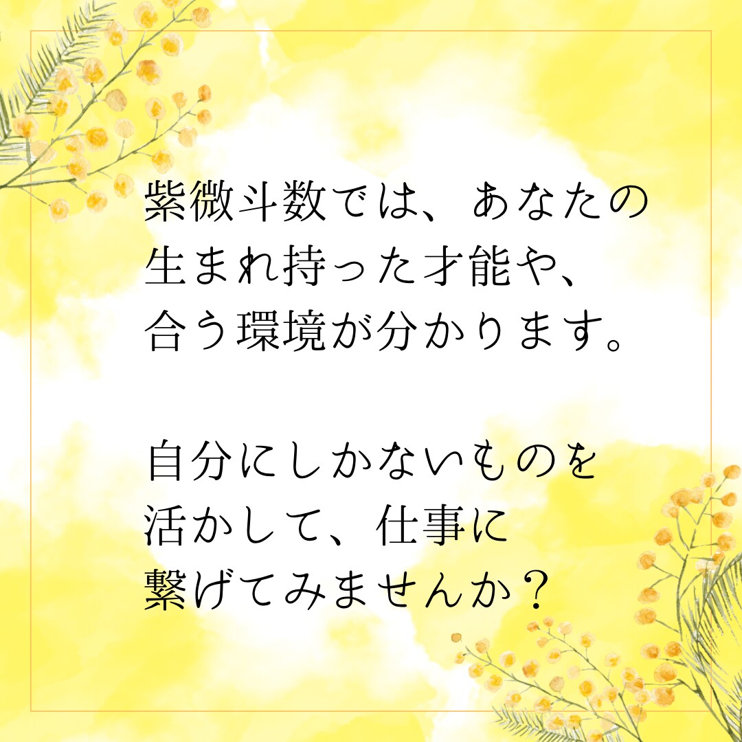 紫微斗数で才能を開花！あなたの適職を占います 生まれ持った才能を活かし、自分らしく働くヒントをお伝えします イメージ2
