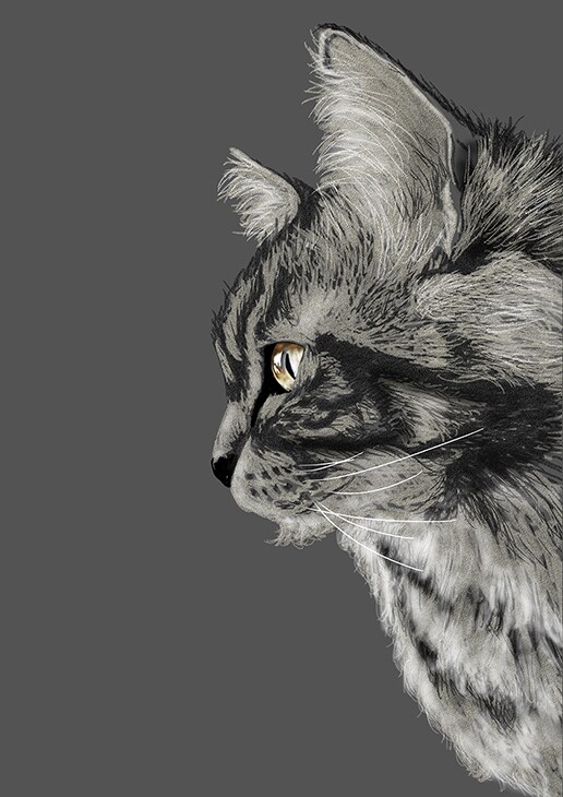 ペット似顔絵承ります デジタルイラストによるペットのリアル似顔絵 イメージ6
