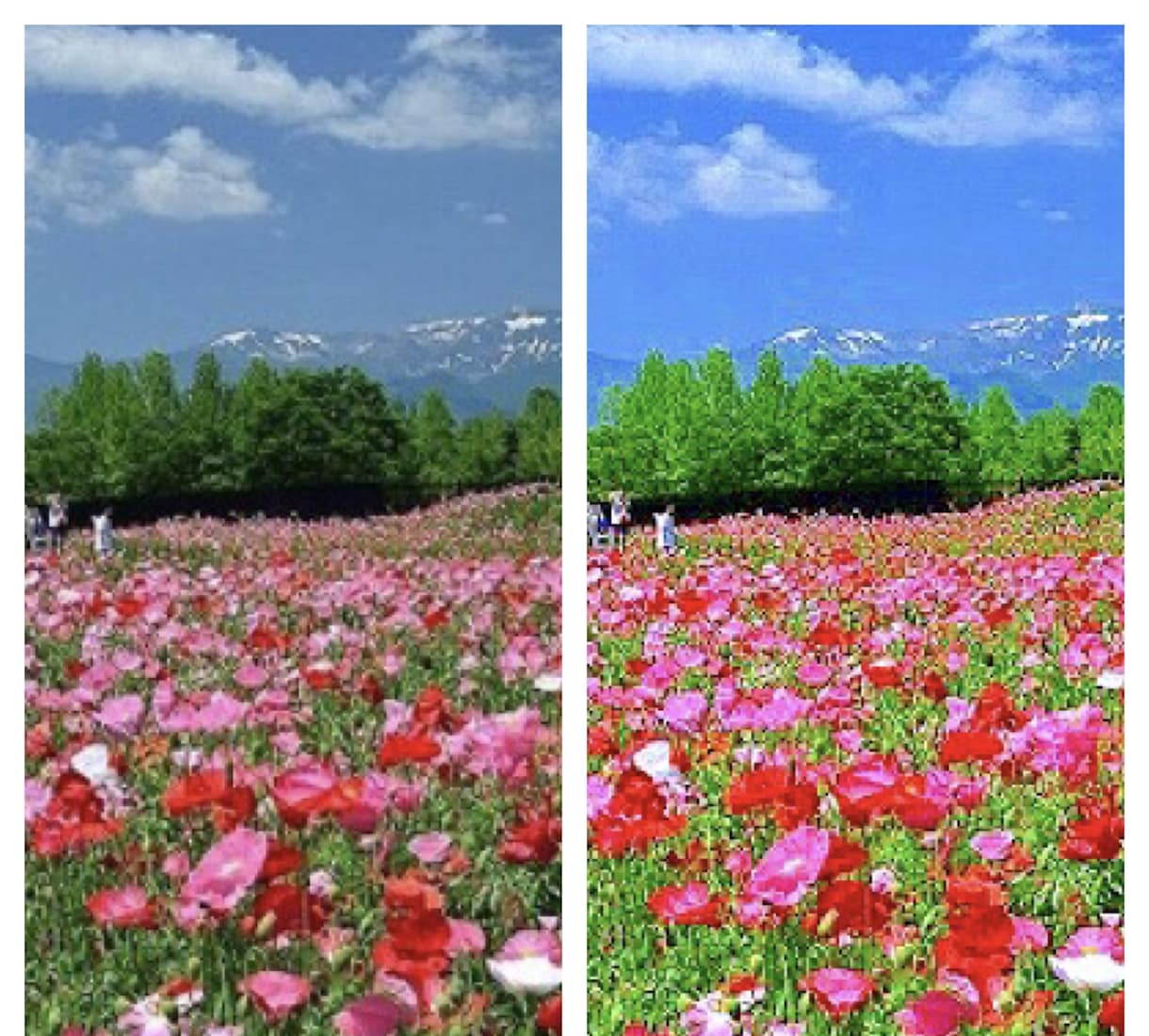 携帯で撮ったお写真を綺麗に明るく華やかに調整します 携帯で撮影が苦手な方や、明るく綺麗に撮れない！という方 イメージ3