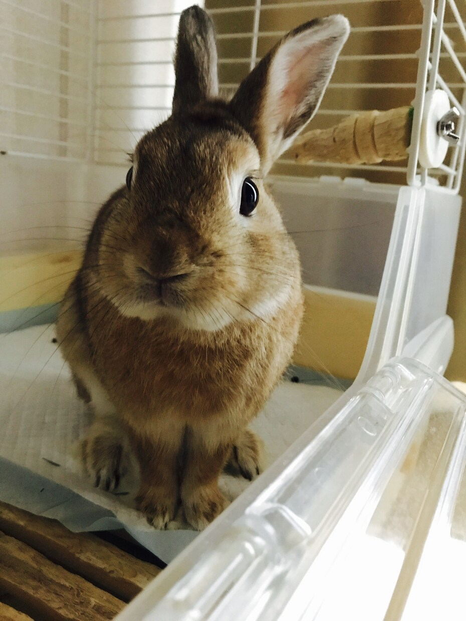心の悩み聞きます いま辛いこと、苦しいこと何でも聞きます。 イメージ1