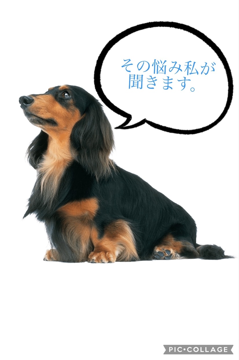 あなたのお悩み聞きます あなたの悩みを私の経験でアドバイスさせてください イメージ1
