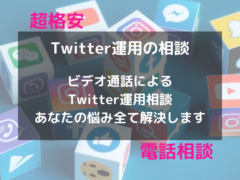 Twitter運用の悩み相談にのります １万フォロワー越えのインフルエンサーが全て丁寧に説明 イメージ1
