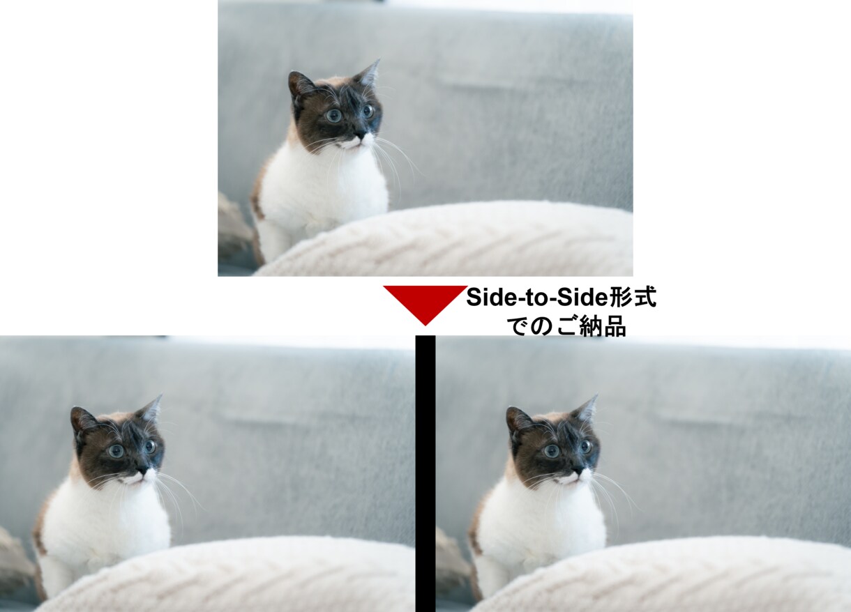 ご希望のイラストや画像、動画をVR化します お気に入りの画像や動画をVRで更にリアルに鑑賞できる！ イメージ4