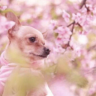 癒しの時間(⑅ˊᵕˋ⑅)♡何でもお話伺います ご相談から愚痴・雑談までお気軽にどうぞ♡恋愛相談大歓迎♡ イメージ6
