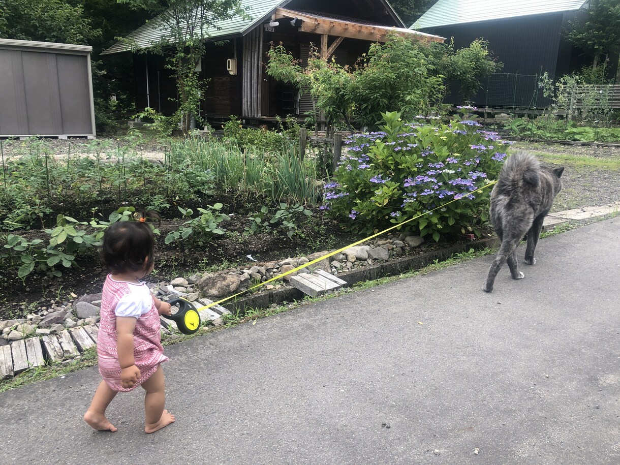 中卒社長があなたのお悩みを解決致します 中卒、糖尿病、いじめられっ子でも幸せになれたコツをバラします イメージ4