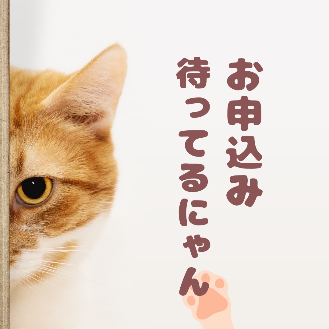 すぐにタロットで鑑定します 恋愛・相手の気持ち・仕事・人間関係・・知りたい事は何ですか？ イメージ2