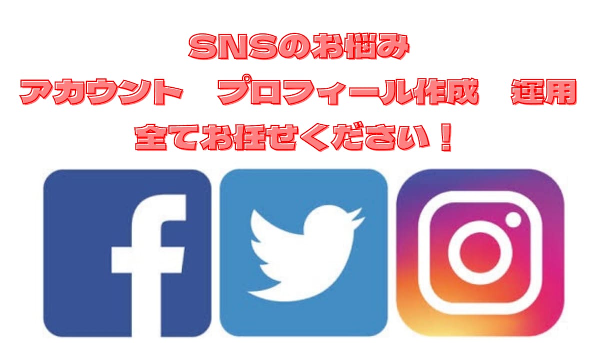 1日1000円〜ご希望の日数でSNS運用代行します 1ヶ月お試し30000円、インスタ，ツイッター等 イメージ3