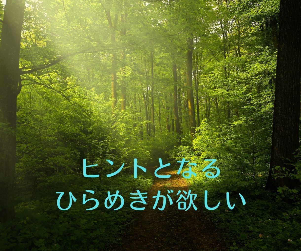 決められない悩みをお持ちの方にヒントを差し上げます お悩みの内容を話さなくても、解決につながるヒントが得られます イメージ6