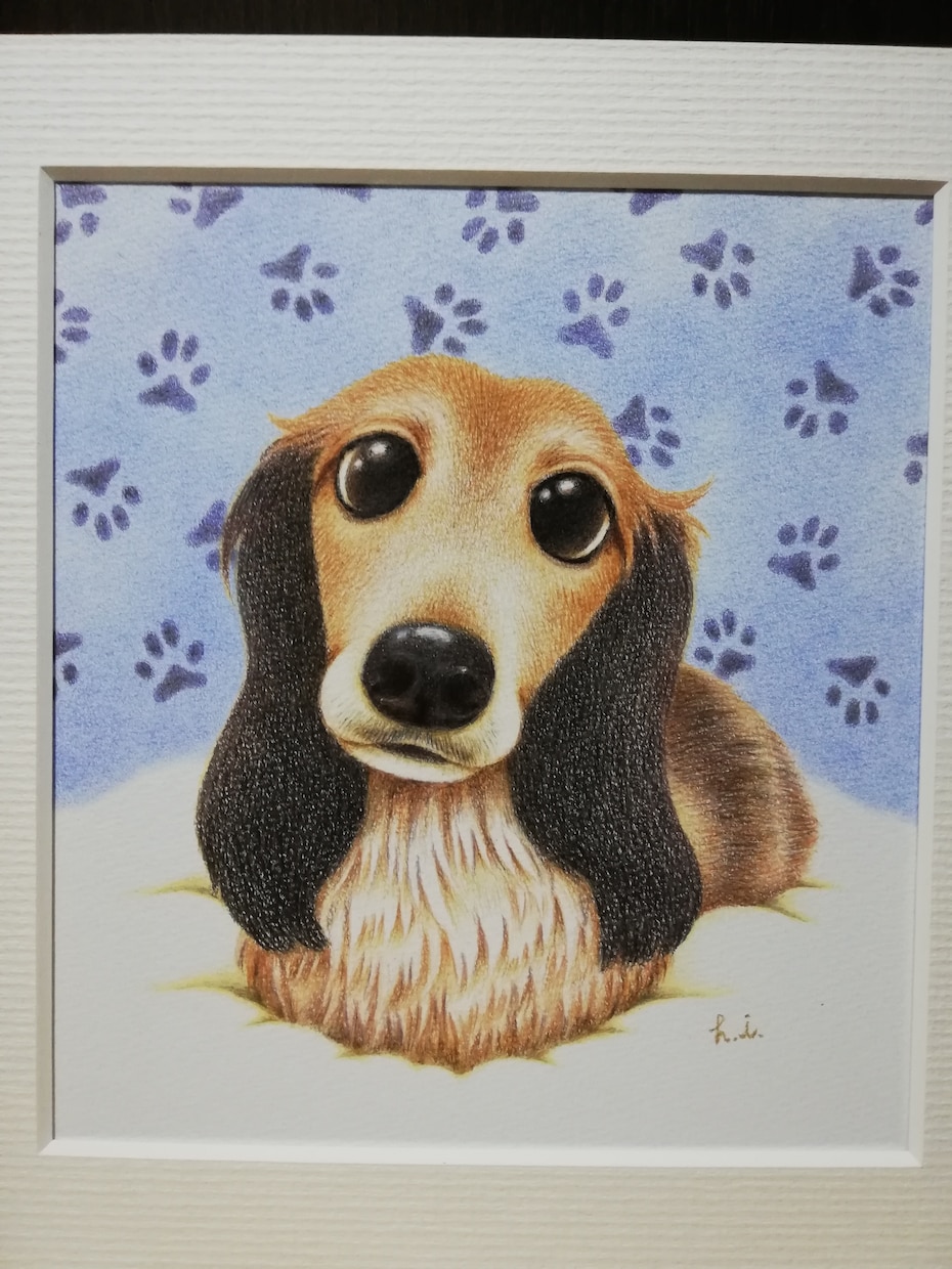 大切なペットのイラストを描かせていただきます 色鉛筆画です。可愛らしくやわらかい感じで。 イメージ2