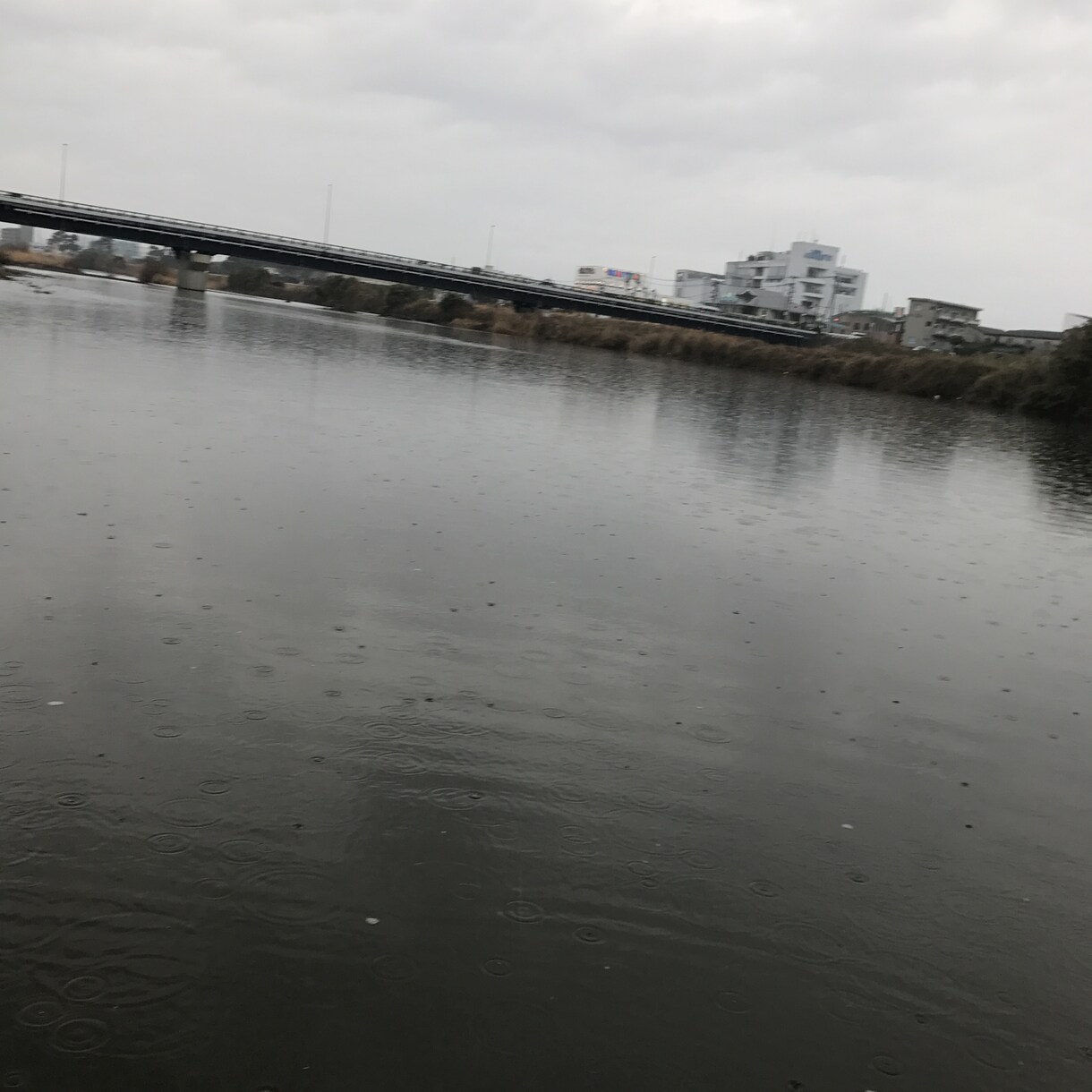 小田原市のシーバスポイント教えます シーバスアングラーさんにオススメです！ イメージ3