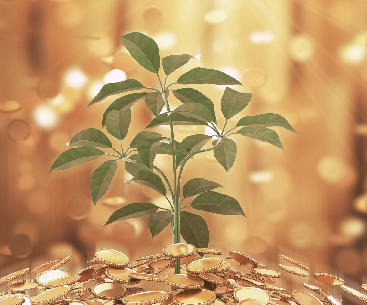 妖精タロットであなたの金運を占います 妖精の導きで金運アップ！豊かさを引き寄せる妖精タロット イメージ2