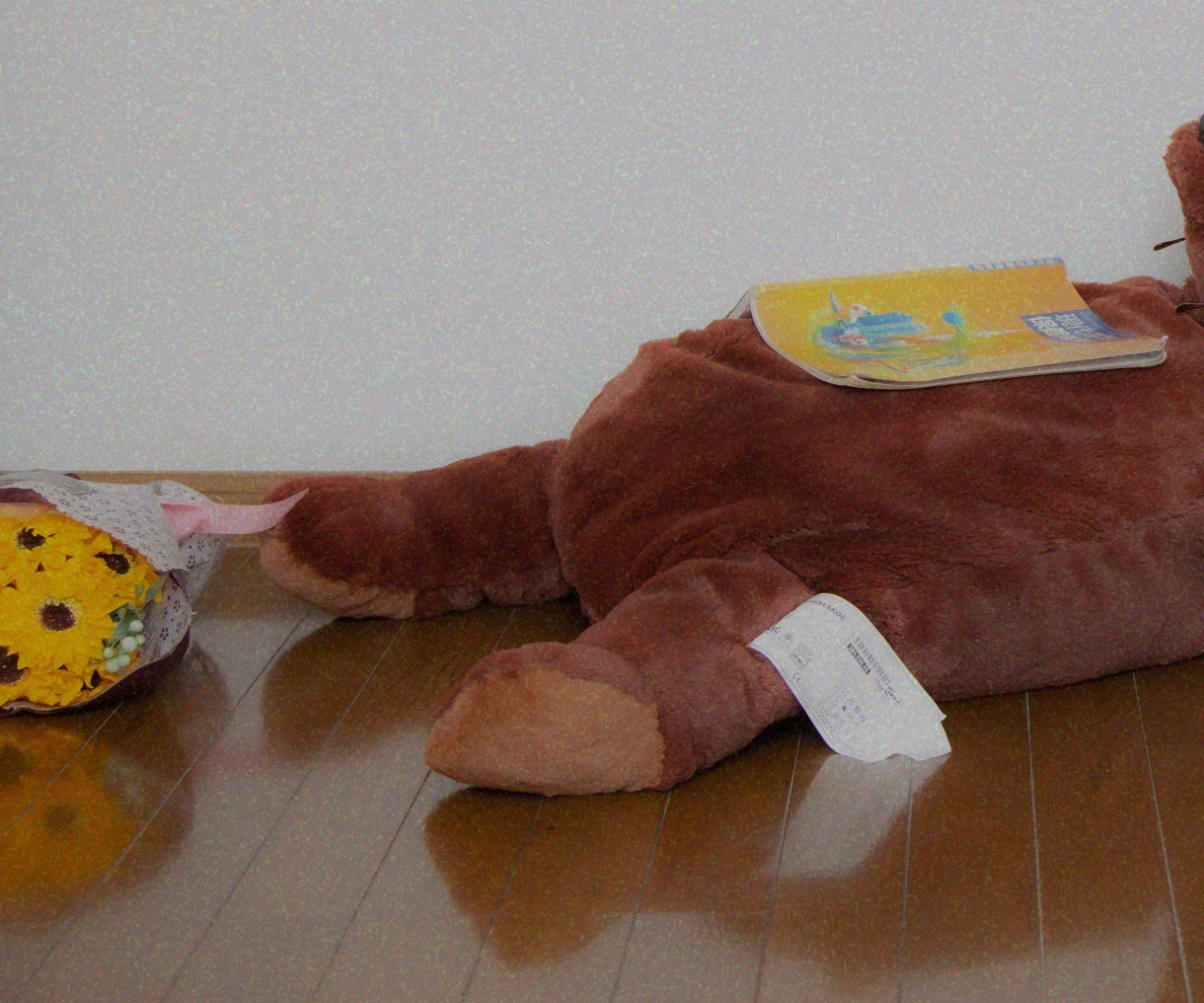 Sなオカメインコが人間の姿であなたを楽しく癒します オカメインコが人間の女の子になりました!男性OK イメージ5