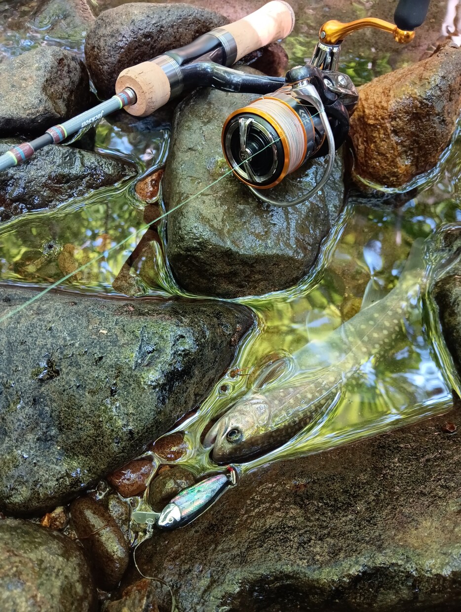 早い♪即日対応♪札幌近郊での釣り及び穴場教えます 貴方と魚達の架け橋！魚達との出会いをサポートさせてください! イメージ2