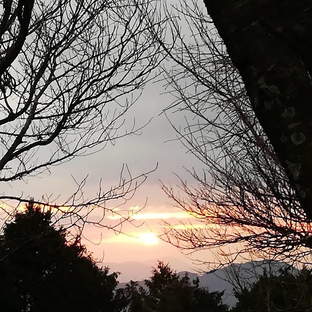 悩み相談のります 誰かの心のビタミンになりたいです。大丈夫！ イメージ3