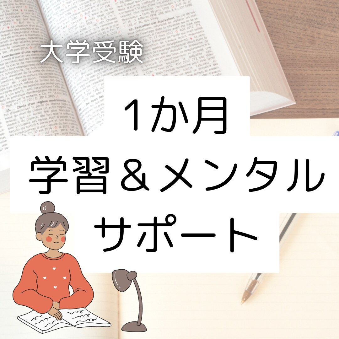 1か月間学習＆メンタルサポートをします 集中力がない、メンタルが不安定とお悩みの方へ イメージ1
