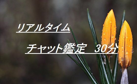 リアルタイムチャット鑑定＊相手の気持ちを鋭くみます チャット鑑定の実績のあるプロによる本格鑑定です イメージ1