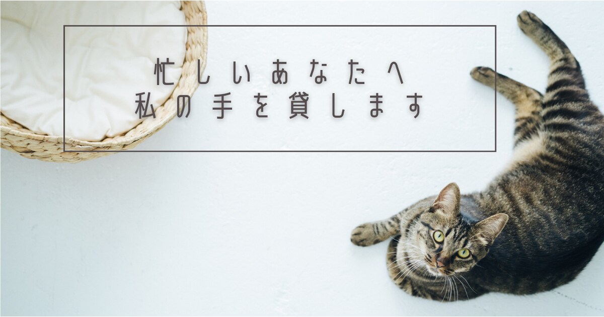 リアルタイムで入院、手術体験記事書きます 足骨折という実体験で不安に寄り添う記事を執筆 イメージ6