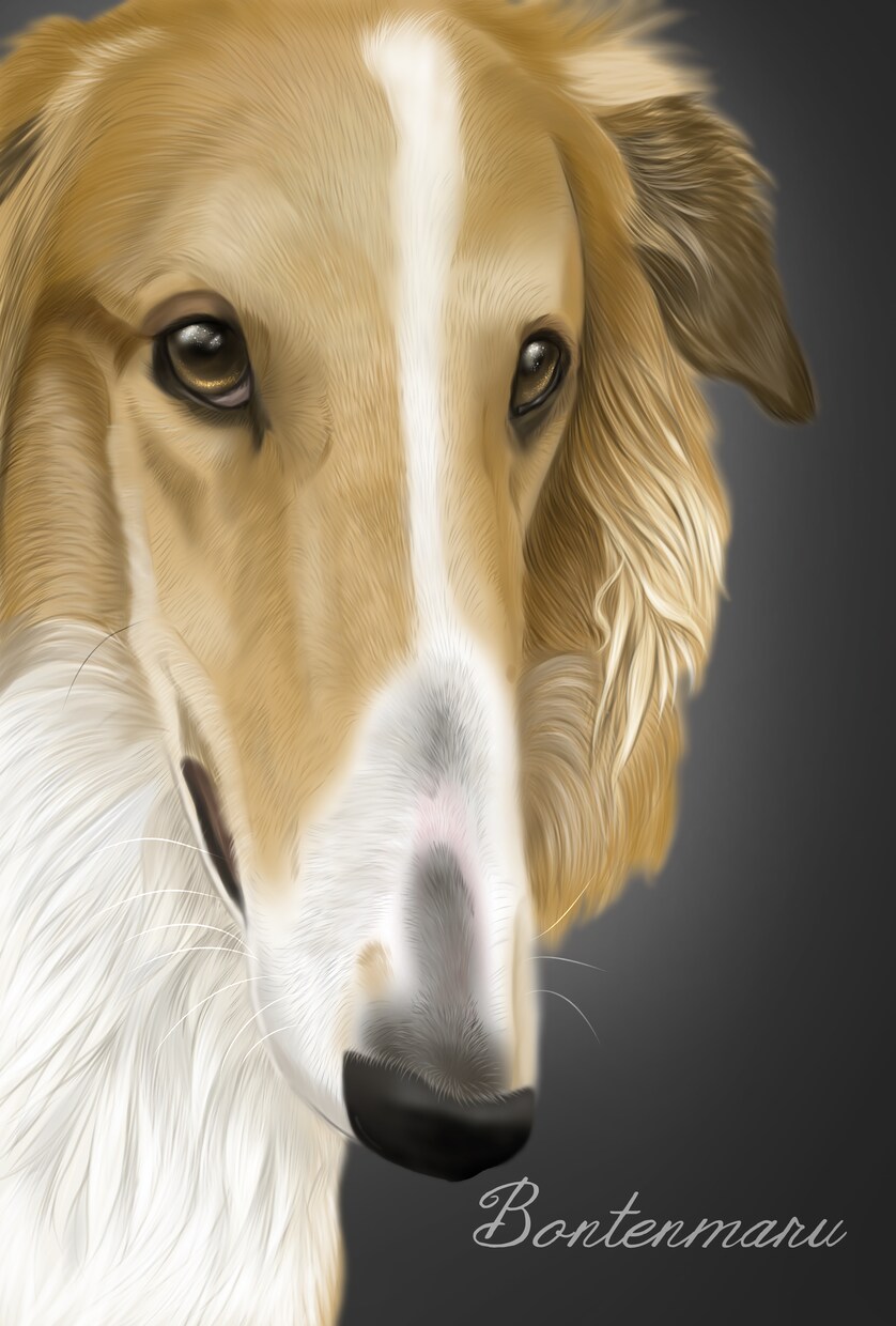 愛犬、ペットの似顔絵を描きます 可愛いペットの似顔絵をリアルタッチで描いています イメージ5
