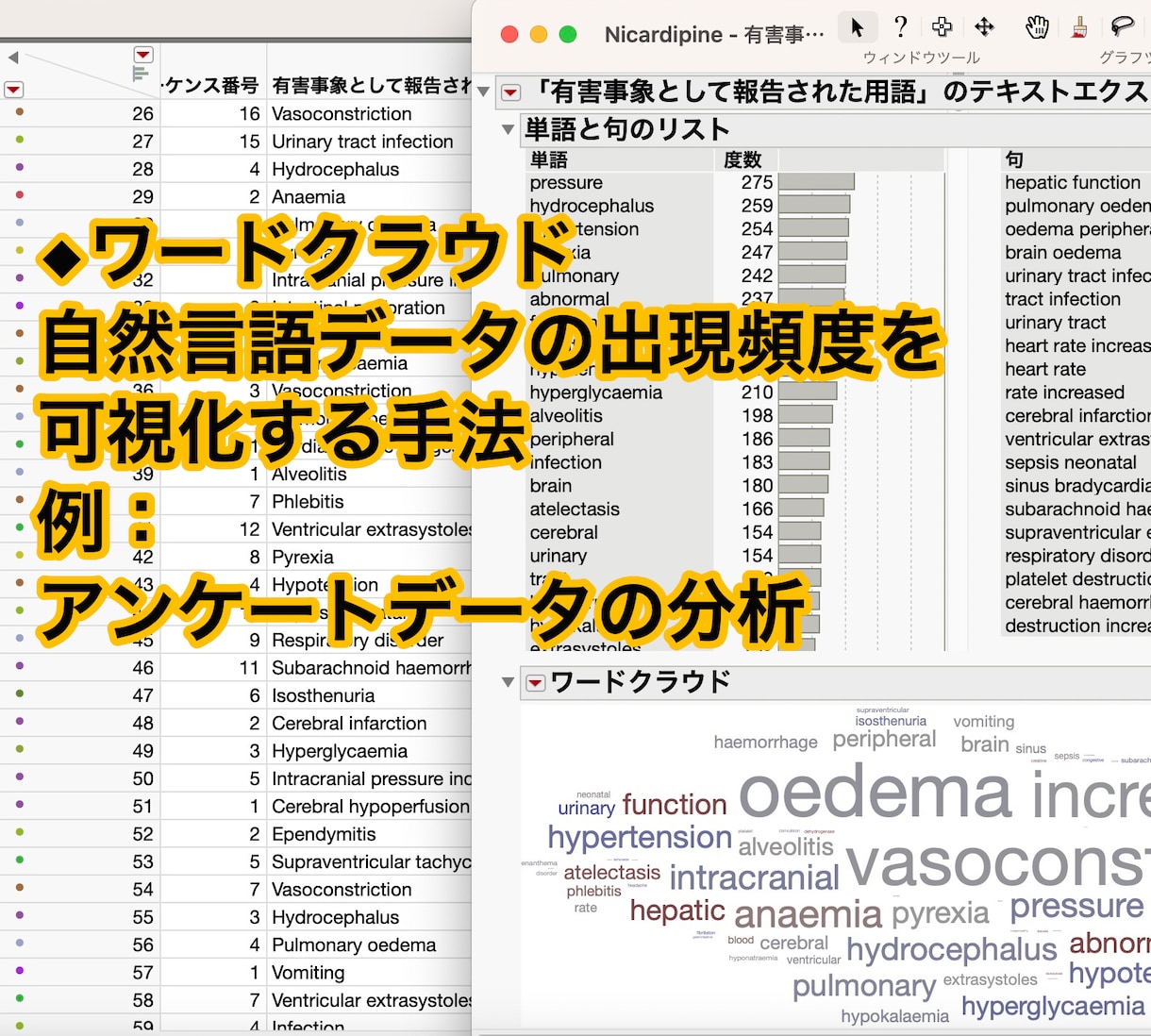 ココナラPROがデータ分析を支援し丁寧に解説します 高機能ソフトで的確かつ迅速に分析し初心者にも分かり易く解説！ イメージ7