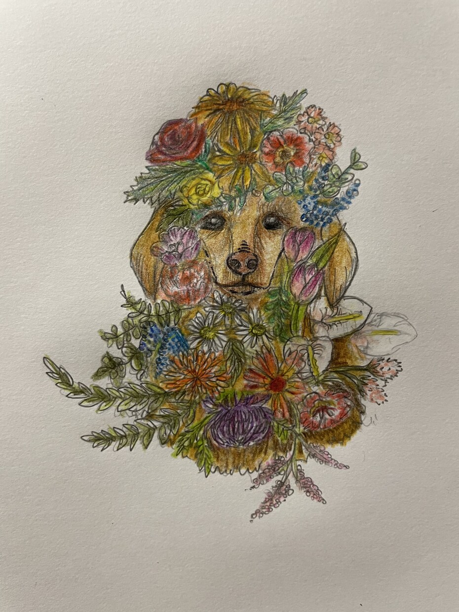 ペットと植物を掛け合わせたイラストを描きます ペット単体、植物単体でも受け付けます。 イメージ2