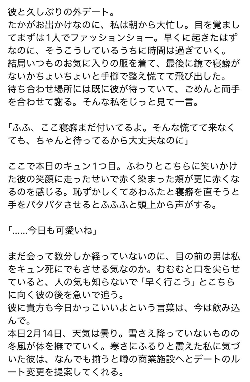 貴方の為の理想の小説書きます 貴方の理想の物語を小説にしませんか？（NL/BL/GL） イメージ2
