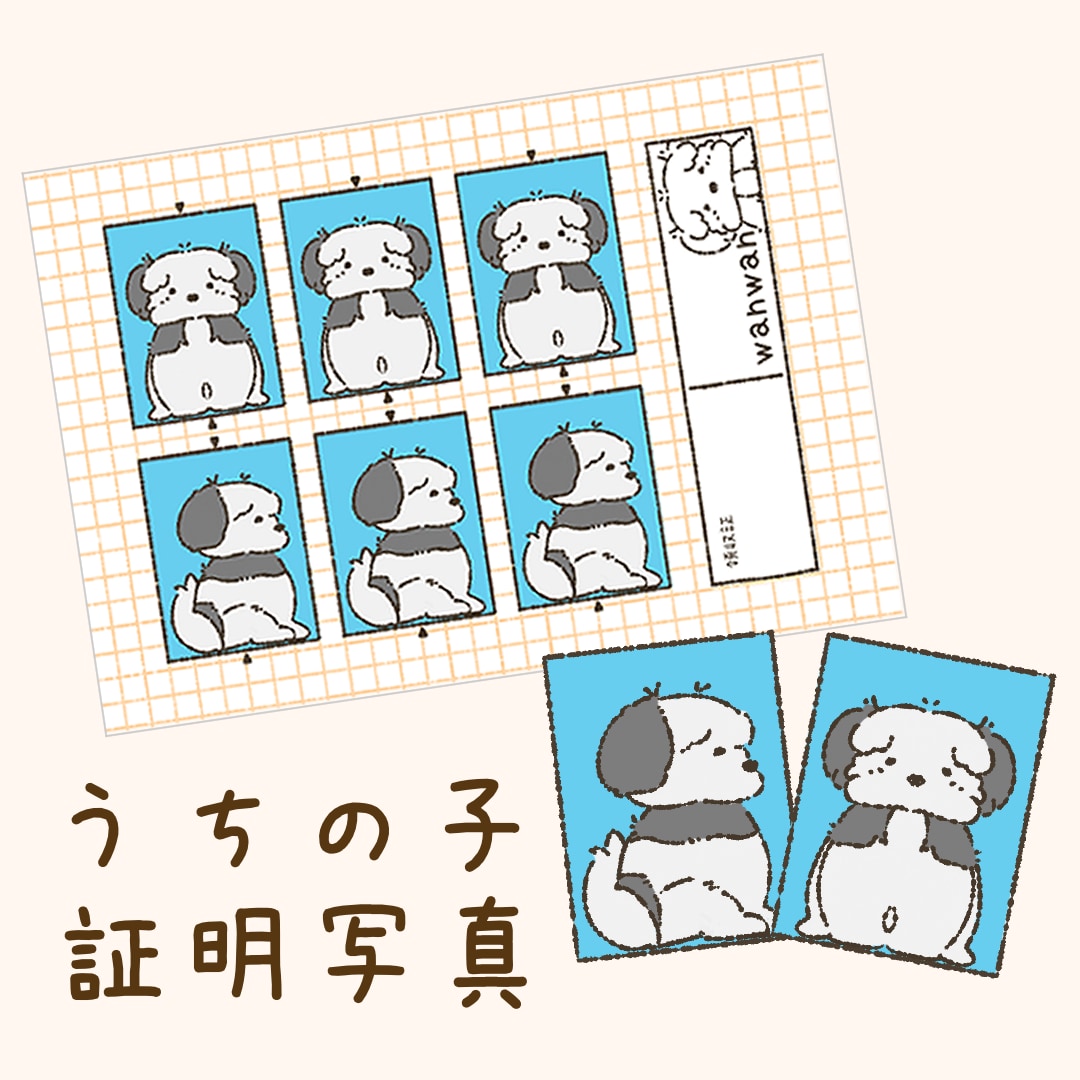 うちの子証明写真風イラスト作成します 愛犬のイラスト化や、プレゼントなどにいかがでしょうか？ イメージ1