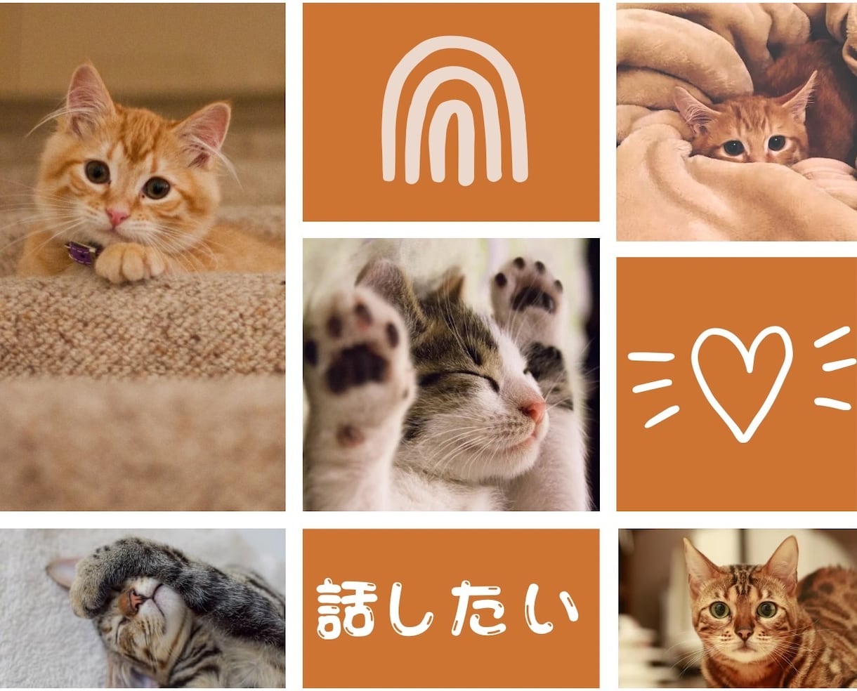 あなたが心から愛している大切なペットとお話しします 何を考えているの？もう一度話したい。ペットの気持ちを教えます イメージ3
