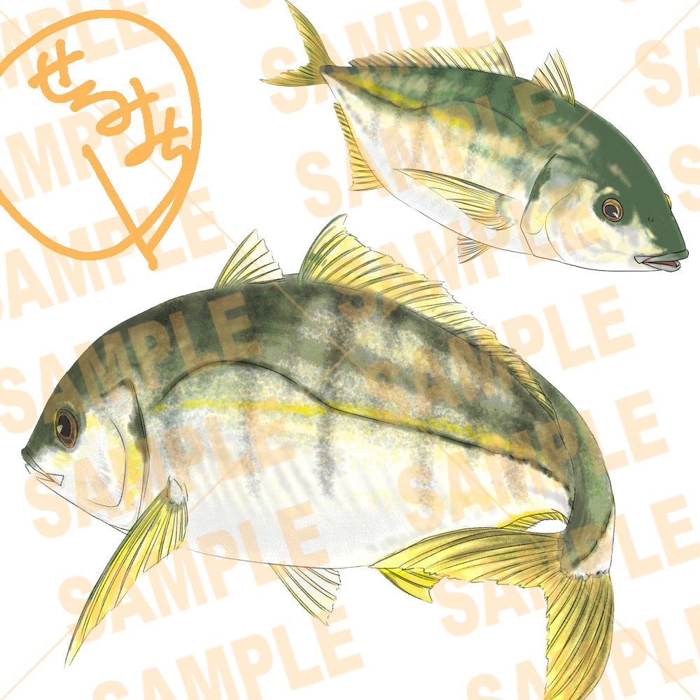 あなたの好きなこだわりの魚イラストお描きします 田舎で釣りばかりしていたから描ける魚イラストお描きします。 イメージ9