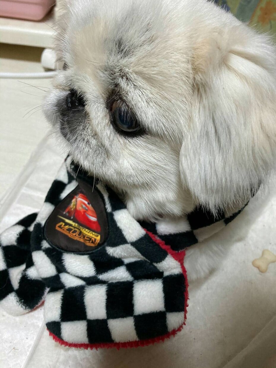 愚痴、サイレント中の悩み聴きます ポジティブに前進出来るお手伝い出来たらハッピー イメージ1
