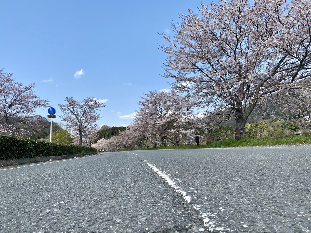 恋愛相談聞きます 恋愛相談を聞きアドバイスさせて頂きます。 イメージ1
