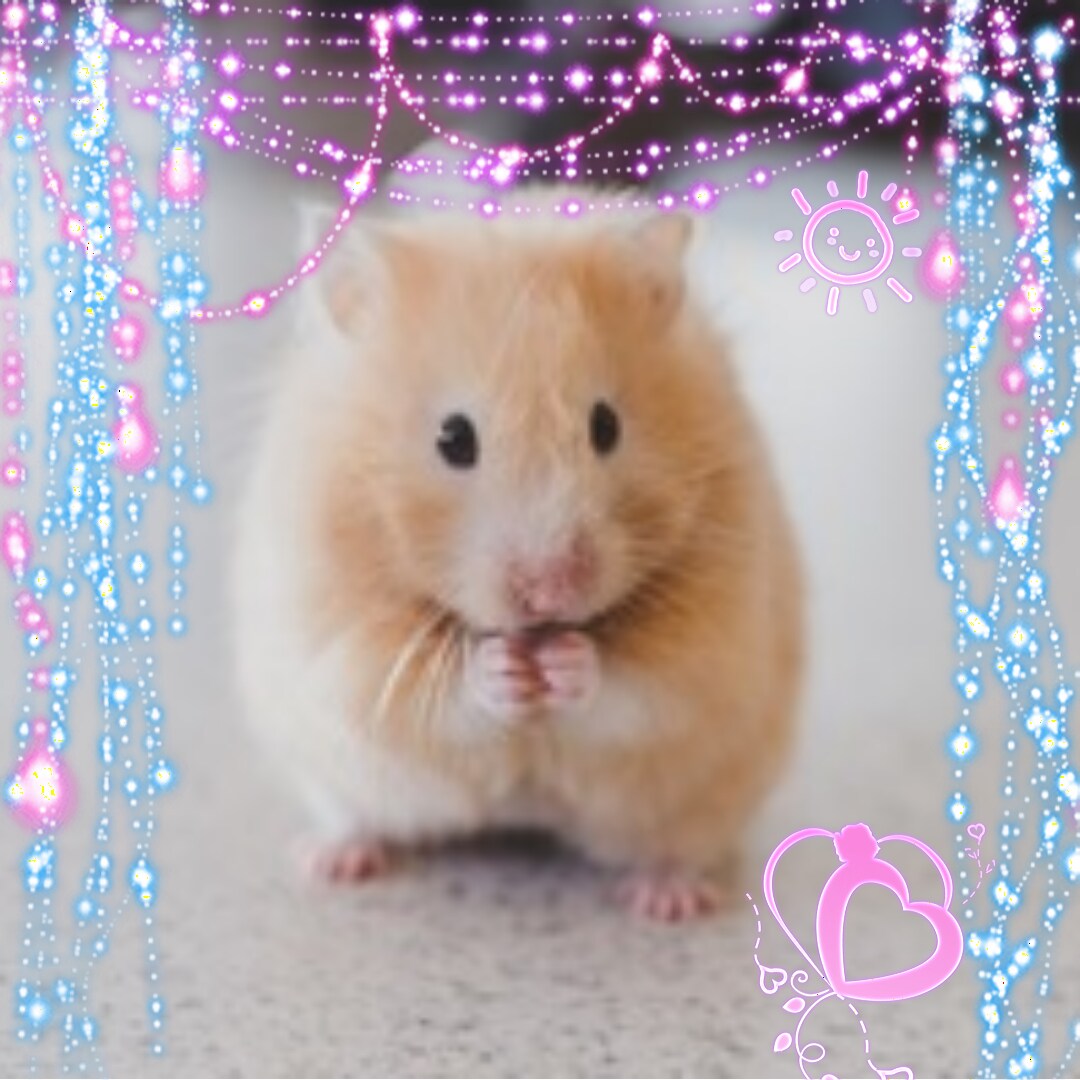 小さい子供にも大人の方でも画像に出来ます 可愛いハムスターを加工しました！ イメージ1
